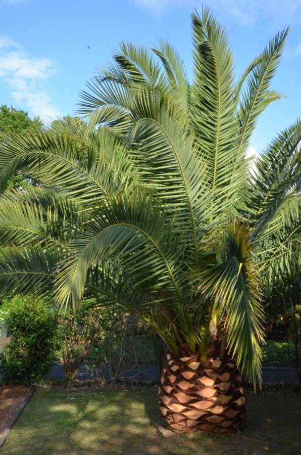 Villa Uhaina 比亚里茨 外观 照片